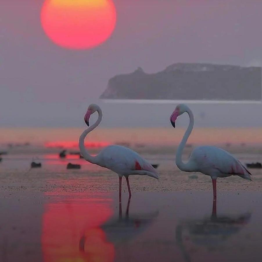 Appartamento Suite Sardinia Holiday Cagliari Buitenkant foto